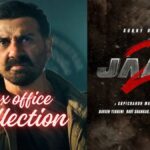 Jaat Box Office Collection